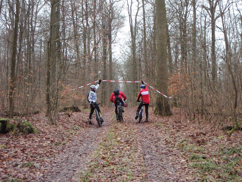Waldtour 045